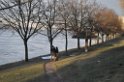 Mann einsam am Rheinufer verstorben Koeln Porz Westhoven P6